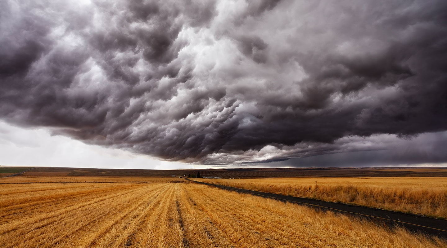 Settore assicurativo